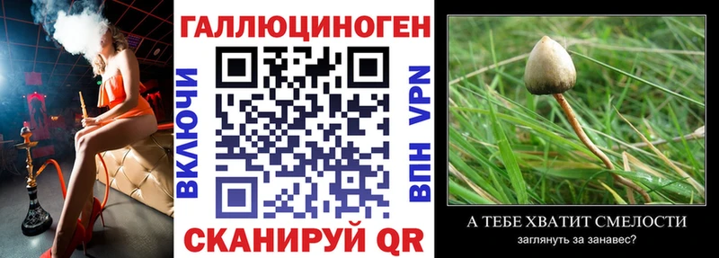 Галлюциногенные грибы Magic Shrooms  Купить  Ногинск 